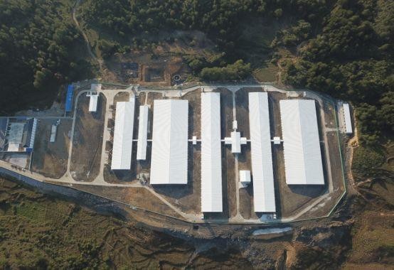 mais recente caso da empresa sobre 500 porcas cultivam nas Filipinas